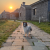 comment-small-img