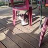 comment-small-img