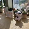 comment-small-img