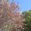 comment-small-img