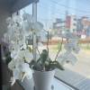 comment-small-img