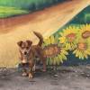 comment-small-img