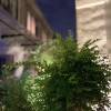 comment-small-img