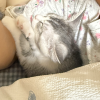 comment-small-img