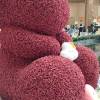 comment-small-img