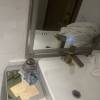 comment-small-img