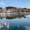 comment-small-img