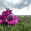 comment-small-img