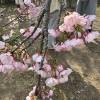 comment-small-img