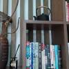 comment-small-img