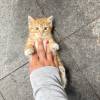 comment-small-img