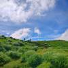 comment-small-img