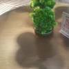comment-small-img