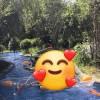 comment-small-img