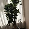 comment-small-img