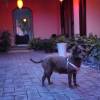comment-small-img