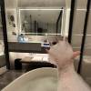 comment-small-img