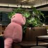 comment-small-img