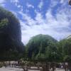 comment-small-img