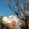 comment-small-img