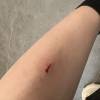comment-small-img