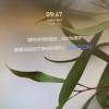 comment-small-img