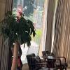 comment-small-img