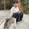 comment-small-img