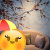 comment-small-img