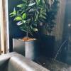 comment-small-img