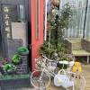comment-small-img