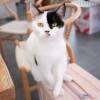 comment-small-img