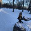 comment-small-img