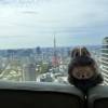 comment-small-img