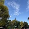 comment-small-img