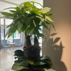 comment-small-img