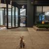 comment-small-img