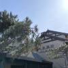 comment-small-img