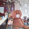 comment-small-img