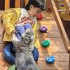 comment-small-img