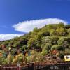 comment-small-img