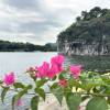 comment-small-img