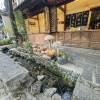 comment-small-img