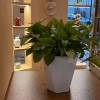 comment-small-img