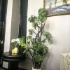 comment-small-img