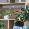 comment-small-img