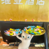 comment-small-img
