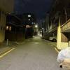 comment-small-img