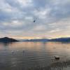 comment-small-img