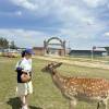 comment-small-img